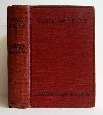Image for Mary Anerley, A Yorkshire Tale