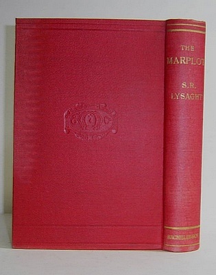 Image for The Marplot (1893)