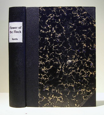 Image for The Flower of the Flock (1900)