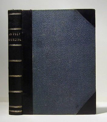 Image for An Ugly Duckling (1887)