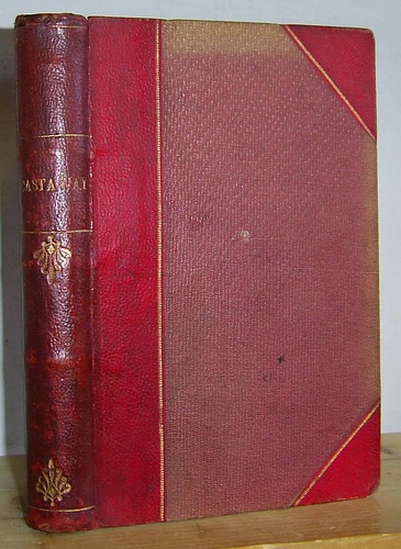 Image for Castaway (1872)
