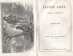 Image for Jennie Grey; or, A Woman's Vengeance