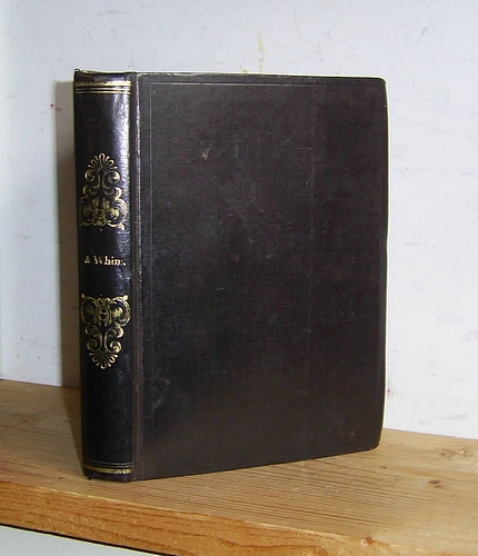 Image for A Whim, and Its Consequences (1847)