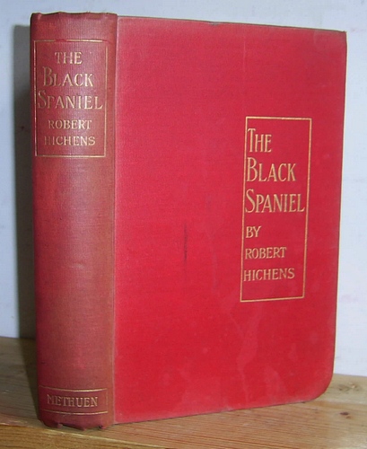 Image for The Black Spaniel and Other Stories (1905)