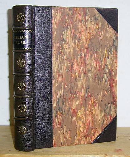 Image for The Yellow Flag (1872)