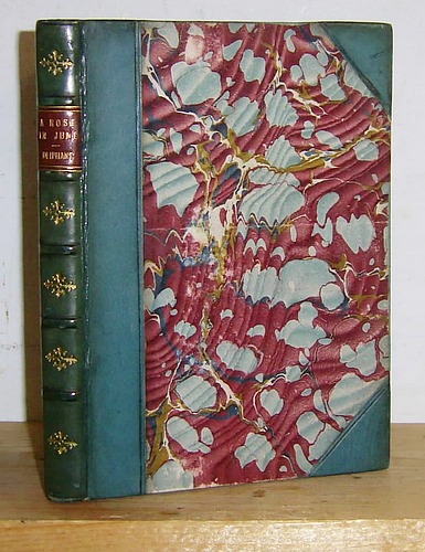 Image for A Rose in June (1874)