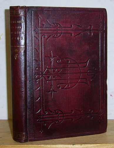 Image for Notches on the Rough Edge of Life (1890)