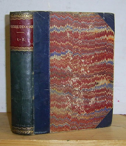 Image for Penruddocke (1873)
