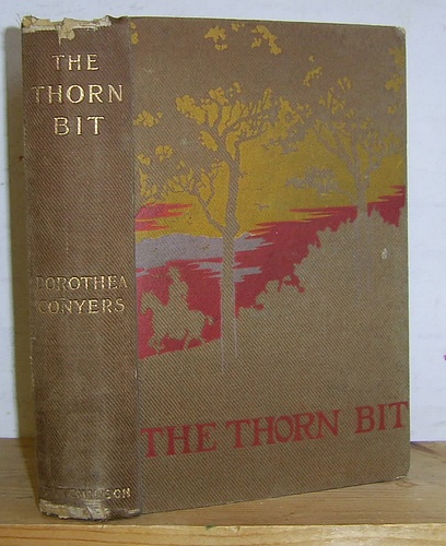 Image for The Thorn Bit (1900)