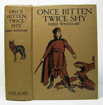 Image for Once Bitten Twice Shy