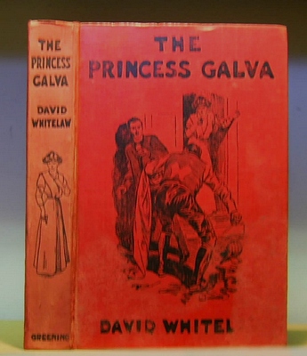 Image for The Princess Galva. A Romance (1910)