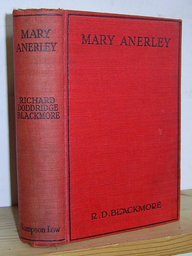 Image for Mary Anerley, A Yorkshire Tale