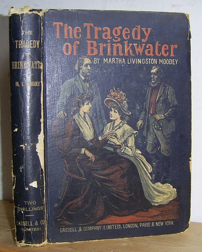 Image for The Tragedy of Brinkwater (1888)