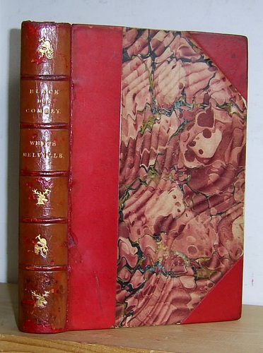 Image for Black, But Comely; or, The Adventures of Jane Lee