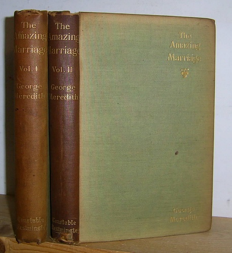 Image for The Amazing Marriage (1895)