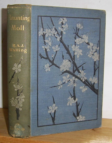 Image for Flaunting Moll and Other Stories (1898)
