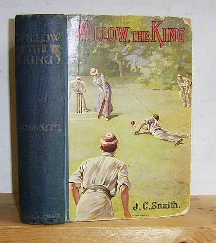 Image for Willow the King The Story of a Cricket Match (1899)