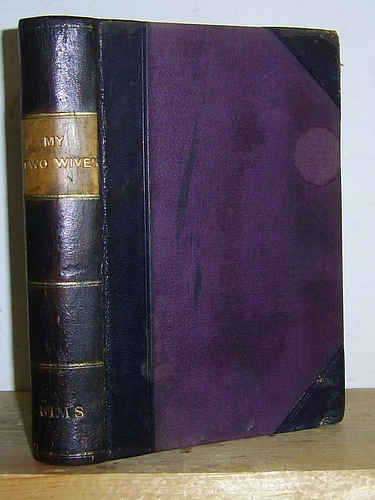 Image for My Two Wives and Other Stories (1894)