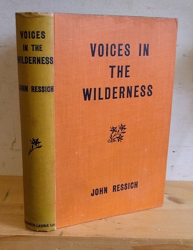 Image for Voices in the Wilderness (1924)