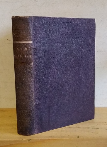 Image for Bam Wildfire (1898)
